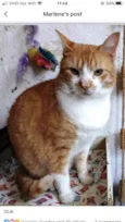 Duk