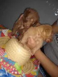 Penélope e Pandora