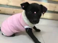 LUA