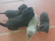 Não tem mone 