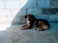 Billy