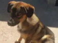 Billy