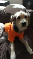 Caetaninho