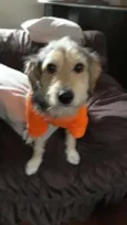 Caetaninho