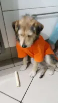 Caetaninho