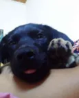 Kiara