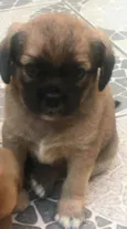 Marley