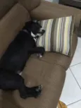 Bacco