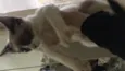 Bob