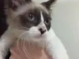 Bob