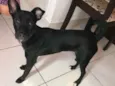 Lulu
