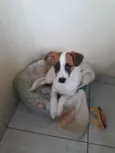 Boby