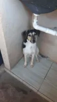 Princesa 