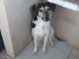 Princesa 