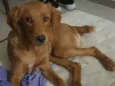 Chloe 