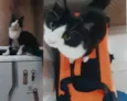 Bumi
