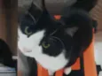 Bumi