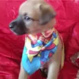 Marley
