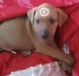 Samantha 