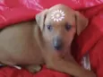 Samantha 