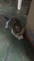 Mia, Mio