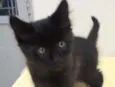 Tino 