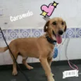 CARAMELO