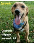 CARAMELO
