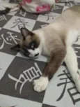 Manuel