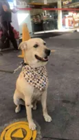 Marley