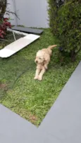Billy
