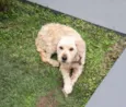 Billy