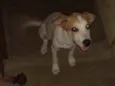 Billy