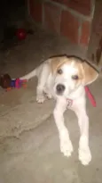 Billy