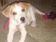 Billy