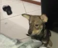 Chloe