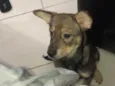 Chloe