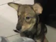 Chloe