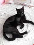 Belíssimo bebê