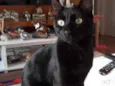 Belíssimo bebê