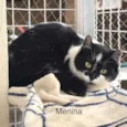 Filomena