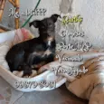 Barthô 