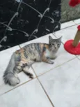 Mel