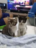 Billy e Jack