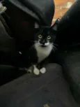 Pâmela 
