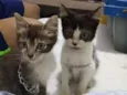 Billy e Jack