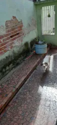 Flip