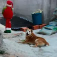 CARAMELO