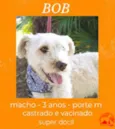 Bob
