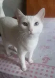 Linda bebê